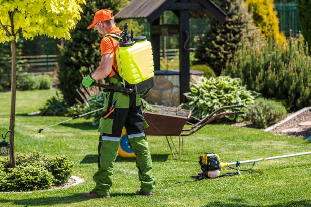 Professional Pest control in Allegan, MI